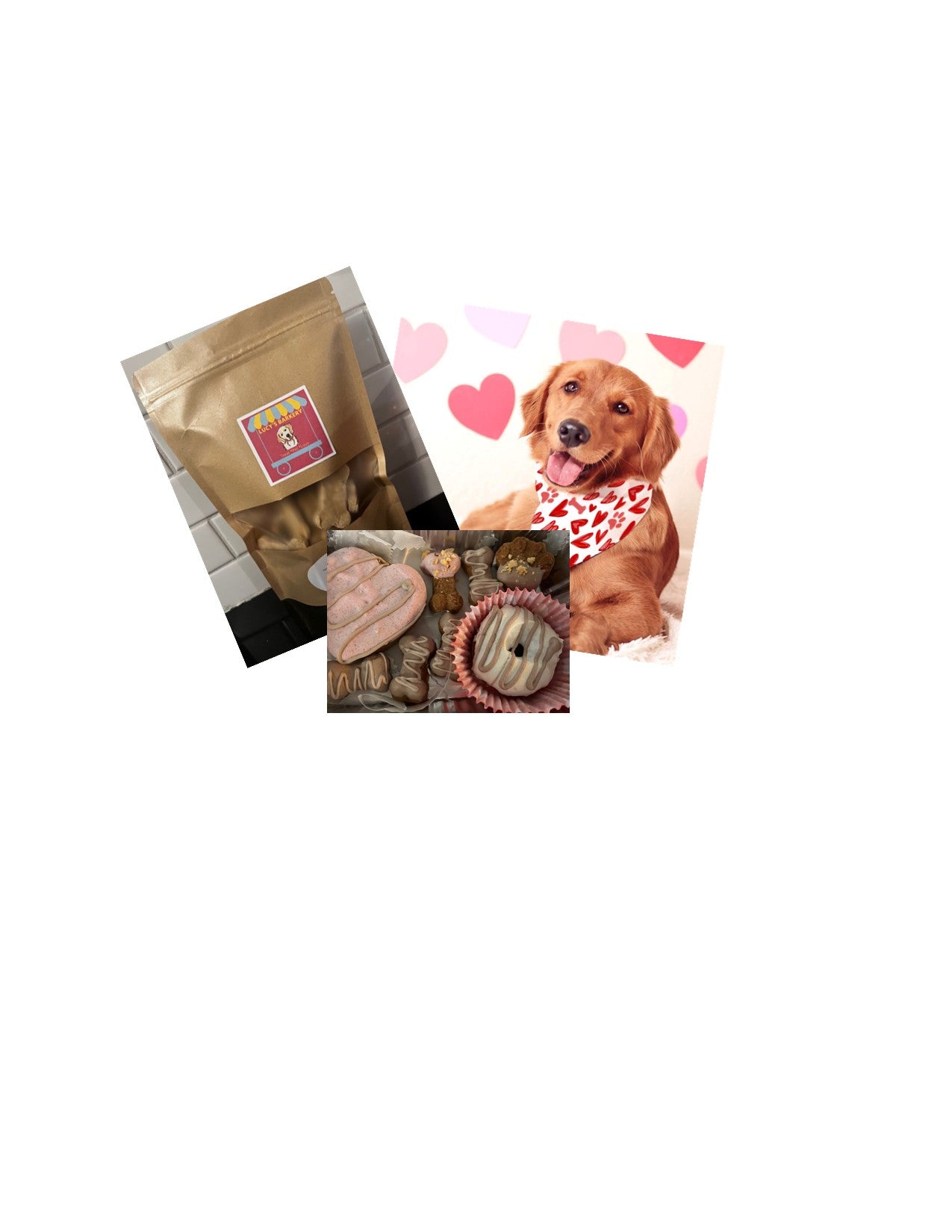 COMING SOON...TREAT, PET, LOVE.... A Barkery Monthly Box